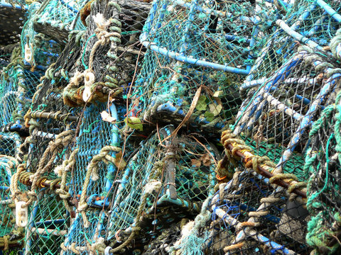 Casiers de p&ecirc;che