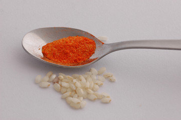 cuchara con arroz y condimento