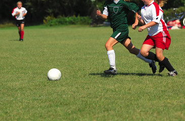 Fototapeta na wymiar Girls Chasing A Soccer Ball