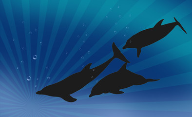 Naklejka premium dolphins swimming in the blue