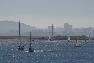 Sailing On Bay