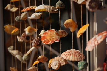 Shells