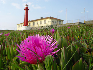 Farol florido