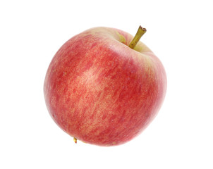 apple close up