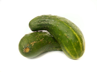 cucumber