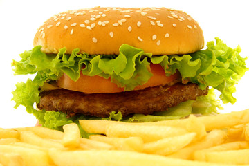 Delicious hamburger and fries 