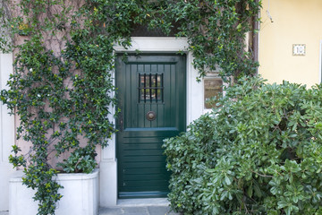 Green door