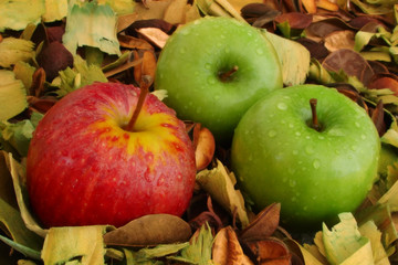 Red and green apples composition
