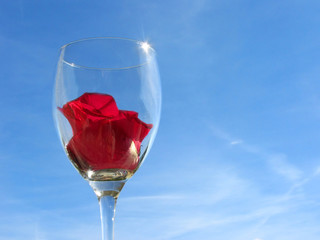 Wineglass with rose flower on sky background
