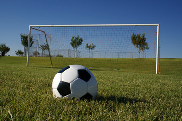 Soccer Ball and Goal