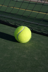 Tennis Ball and Net