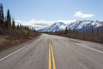 Road running through Alaska Range