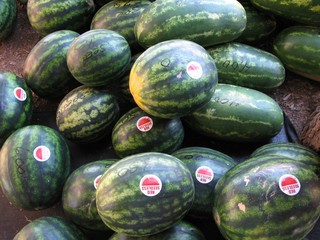 Watemelon3