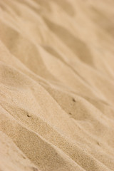 Fototapeta na wymiar Sand background