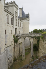 Chateau Brézé moat