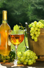 Fototapeta na wymiar Białe wino z butelki i winogron