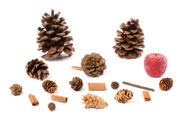 Pine Cone and sugared Fruit