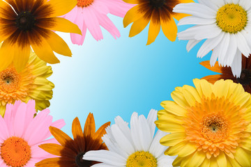 Multi-coloured flowers on a blue background