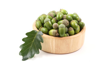 acorns