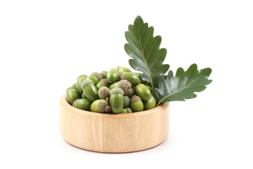 acorns