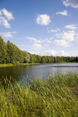 Fototapeta na wymiar Peaceful lake inside forest