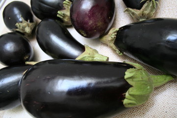 berenjenas de la huerta