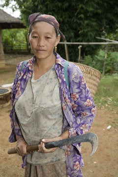 Hmong-Frau mit Sichel