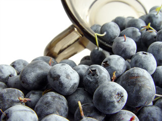 blueberry with cup