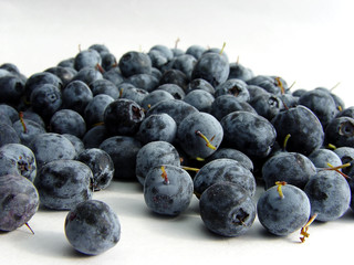 isolated blueberry on white