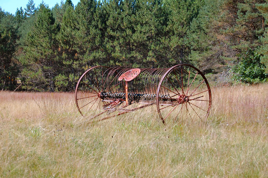 rusted hay turner in field