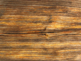 Beautiful wood texture close-up