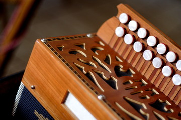 Fototapeta premium accordéon