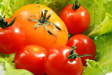 pomodori con insalata