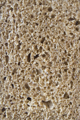 surface of bread