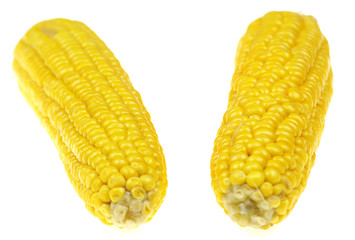 Corn cob