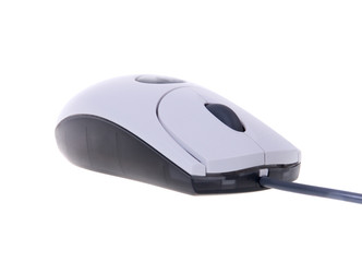 Computer Mouse