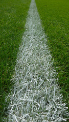 Linie auf Rasen
