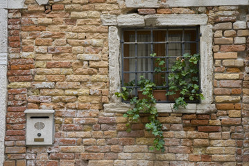 Venice: Vintage Windows