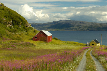 scandinavia landscape