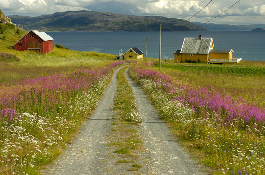scandinavia landscape