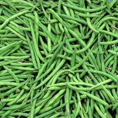 haricots verts