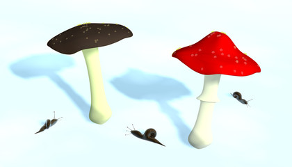 two mushrooms and little snails