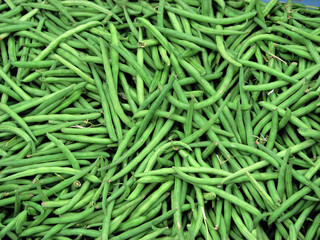 Haricots verts / Green beans