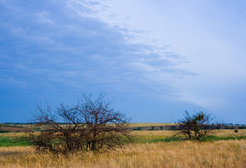 valley of loneliness 1