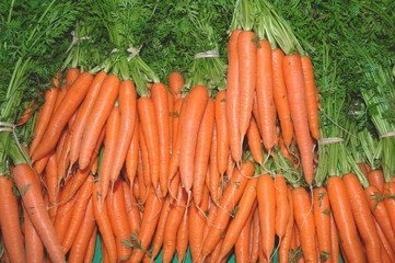 carottes 2