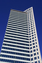 Corporate Skyscraper