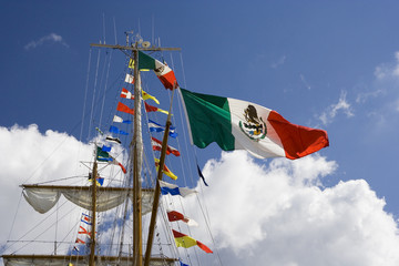 Fototapeta na wymiar Mexican Flag