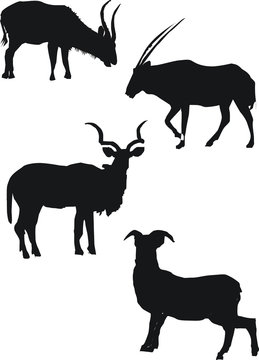 illustration with goat silhouettes