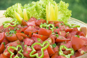 Tasteful presentation of greek tomatoes salad 