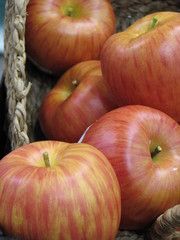 artificial apples